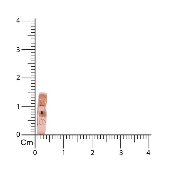 Rosé/Silver Icon Screw Huggies